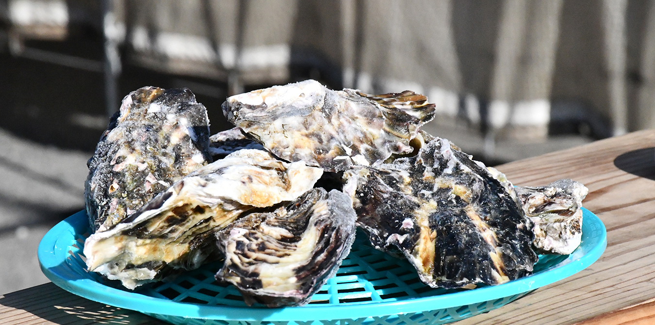 泉州の牡蠣（2月）
