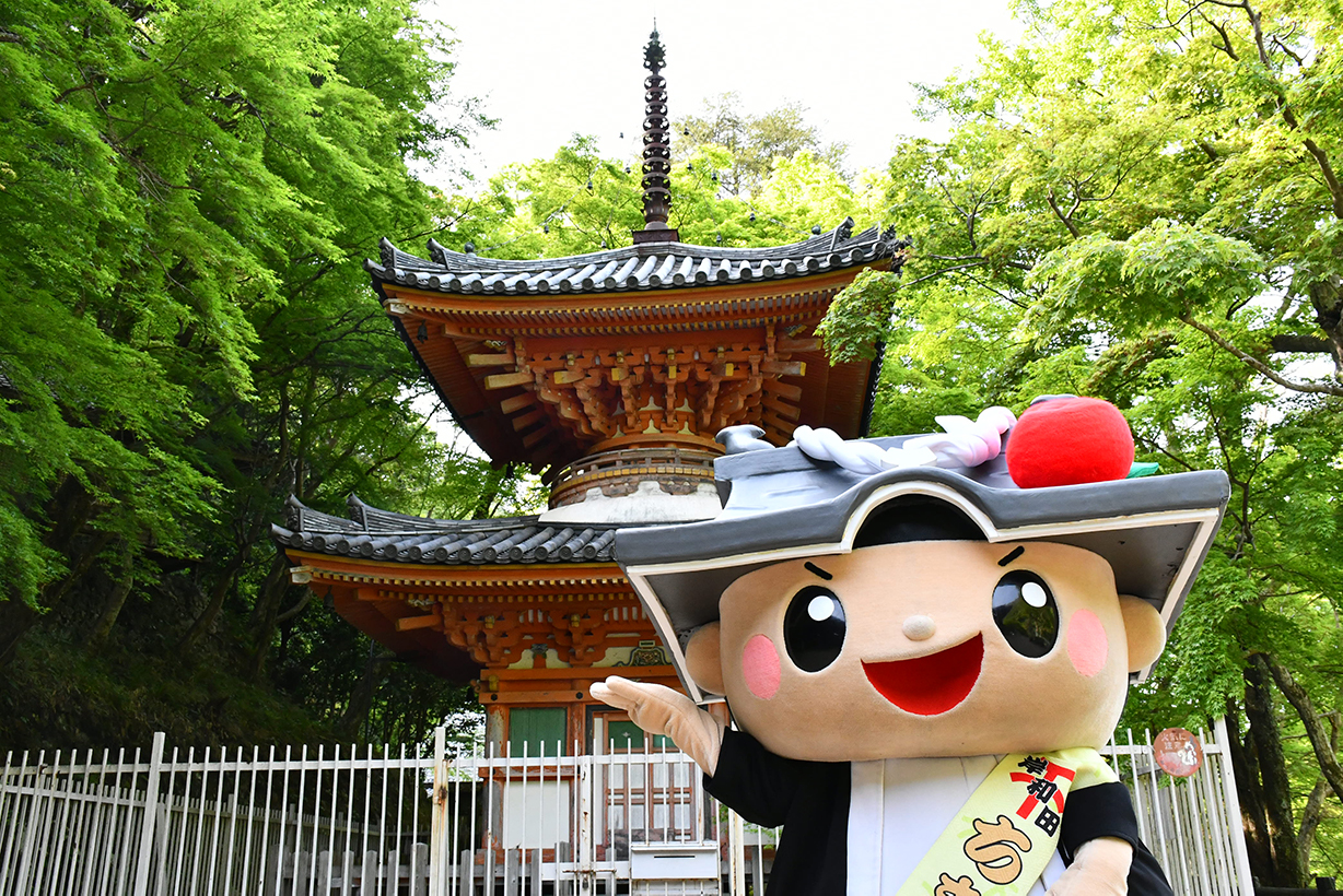 大威徳寺の新緑（5月）