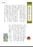 岸和田発見2 岸和田の昔話(1~7)