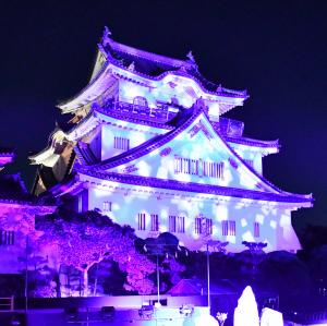 紫色の照明に照らされる岸和田城
