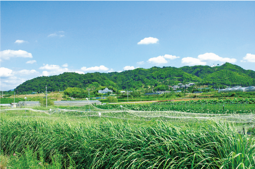 神於山の風景の画像