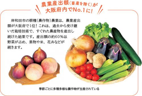農業産出額（ 畜産を除く）が大阪府内でNo.1に!岸和田市の耕種（農作物）農業は、農業産出額が大阪府で1位！ これは、過去から受け継いだ栽培技術で、すぐれた農産物を産出し続けた結果です。産出額の約60％は野菜が占め、果物や米、花卉などが続きます。季節ごとに