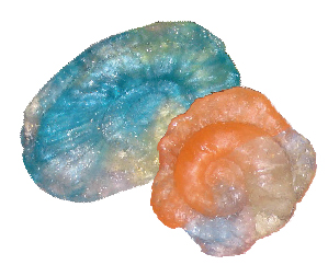 水色とオレンジ色の化石のレプリカ