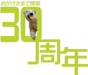 おかげさまで開館30周年の文字と0の中から顔を出すシロクマの剥製