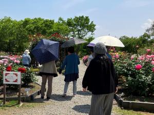 バラ園2