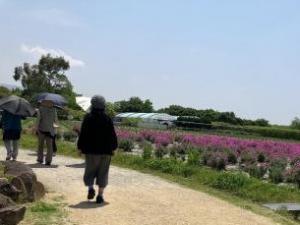 ハーブ園