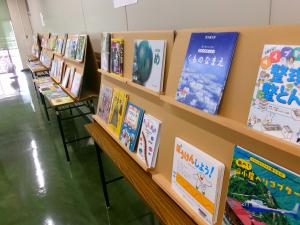 面展台に絵本を並べている様子