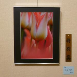 特別賞（作品名「ワイングラス」）