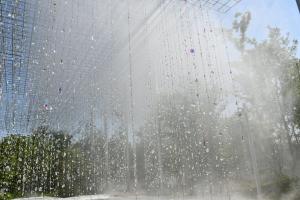 雨とサンキャッチャー
