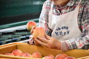 桃を手に持ち品質を確かめる様子