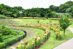 ユリロードの全景