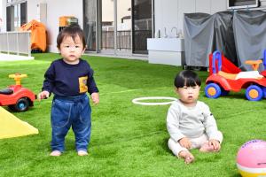 芝生の上で遊んでいる写真