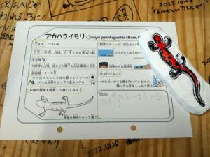 イモリのおなか塗り
