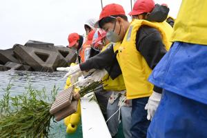 船から産卵床を海に設置している様子