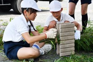 産卵床を作る児童たち