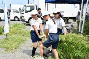 完成した産卵床を運ぶ児童たち