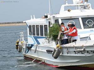 船の上から産卵床を沈める様子