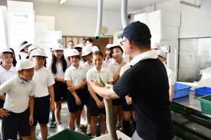 大阪府漁業協同組合連合会の人にハモをみせてもらう児童たち