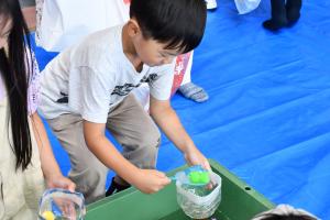 光る金魚すくいをする男の子