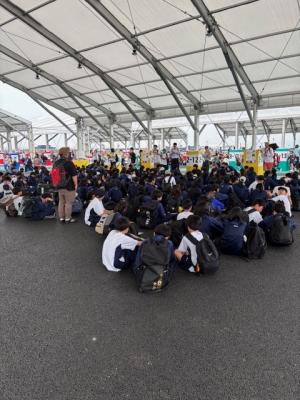 集合している様子