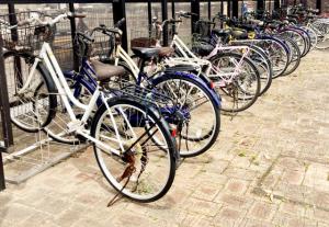 駐輪場に自転車が並んでいる様子