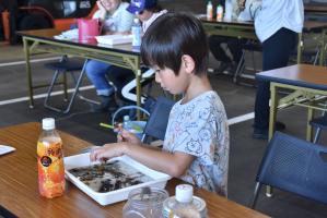 生き物を観察する子ども