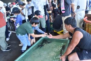 魚を触る男の子たち