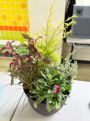 ピンク色の花が使われた寄せ植え