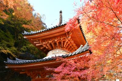 大威徳寺1