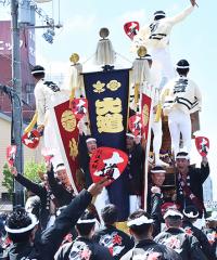 大道町のだんじりの後ろ姿