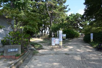 八幡山公園