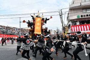 やり回やり回し