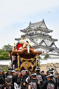 中之浜町のだんじりと岸和田城
