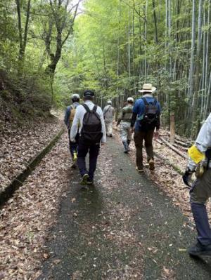 林道散策中の写真