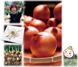 クイーンオニオンの写真