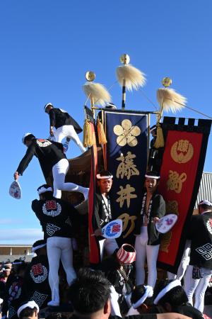 藤井町のだんじり後ろ姿