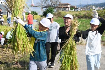 稲と子ども