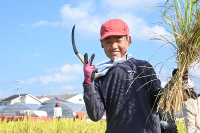 稲と子ども3