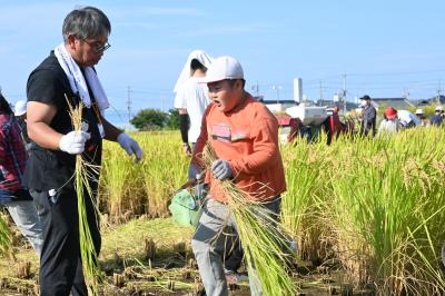 稲と子ども5