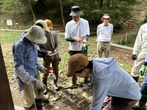 鎌を手入れしている