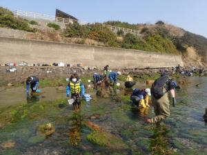 ウミウシ観察会