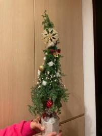 クリスマスツリーの写真