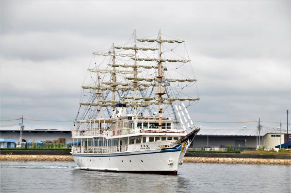 日本丸の全体図