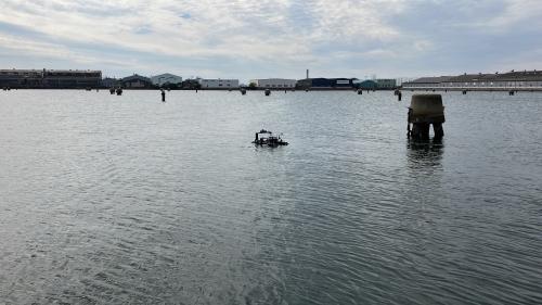 貯木場での実証事業の様子