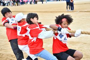 綱引きをする子どもたち