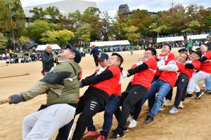 綱引きをする男性たち