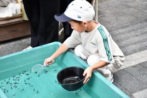 金魚すくいをする子ども