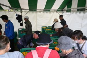 みかんの詰め放題をしている写真