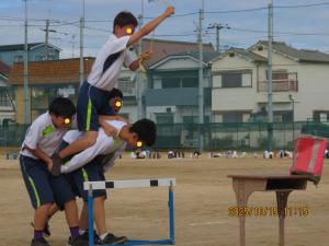 ローハイドという競技をしている様子