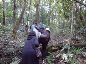 倒木をまたいで進んでいる様子